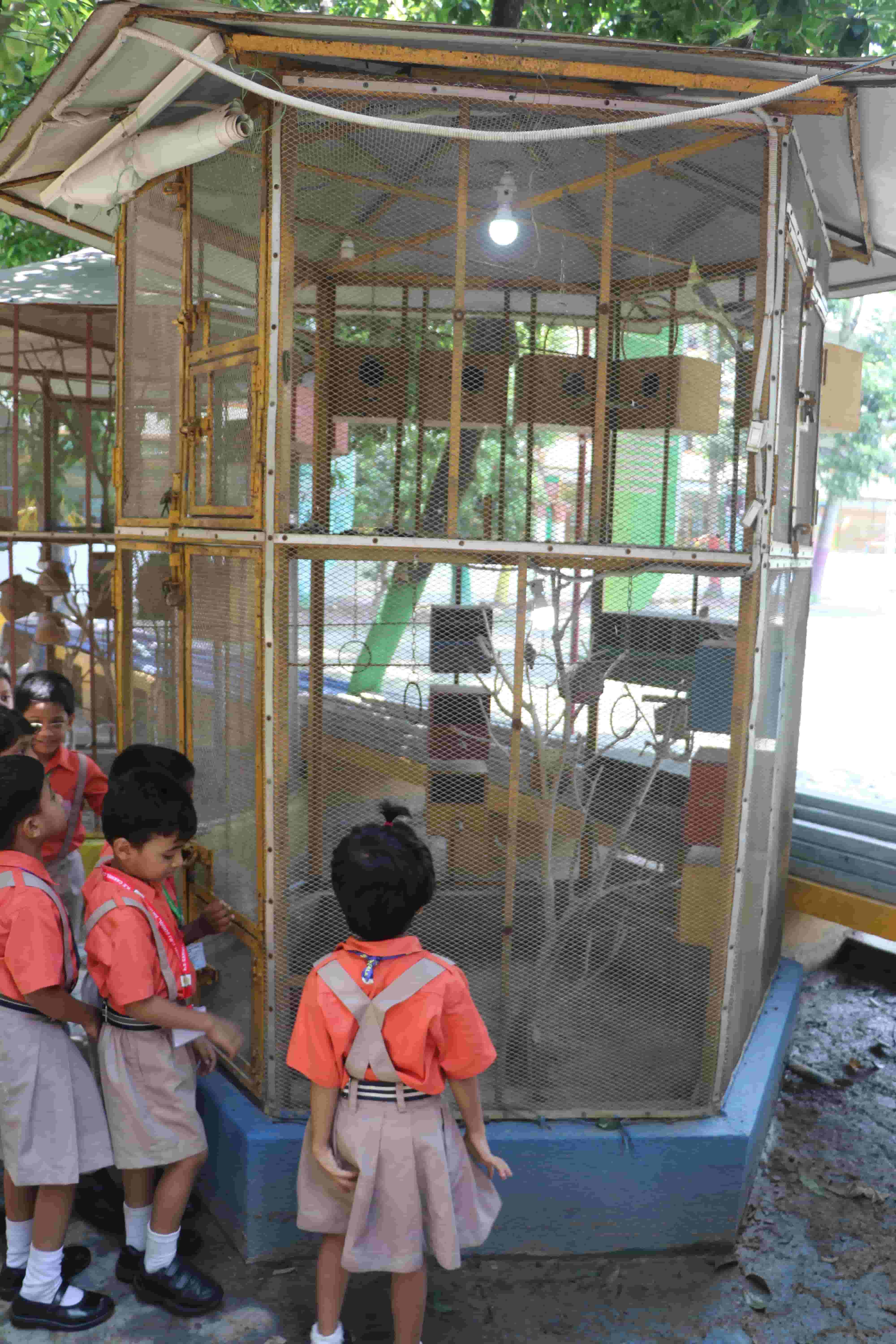 Kids Zone